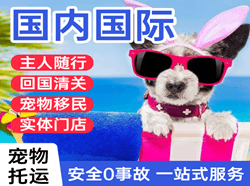 抚远机场空运国际宠物托运 【国